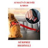 Evcil Hayvan Araç Araba Emniyet Kemeri Kedi Köpek Oto Tasması