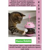 Evcil Hayvan İlgi Çekici Zihinsel Gelişim Avcılık İç Güdüsü Mama Ödüllü Hacıyatmaz Kedi Oyuncağı