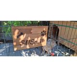Evcil Hayvan Kapı Isimliği - Kişiye Özel Lazer Yazılı Ahşap Köpek Kulübesi Isimliği - Masif Gürgen - 15x20 cm