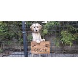 Evcil Hayvan Kapı Isimliği - Kişiye Özel Lazer Yazılı Ahşap Köpek Kulübesi Isimliği - Masif Gürgen - 15x25 cm