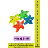Evcil Hayvan Köpek Diş Temizliği Kaşıma Masaj Etkili İlgi Çekici Denizyıldızı Figür Çiğneme Oyuncağı