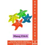 Evcil Hayvan Köpek Diş Temizliği Kaşıma Masaj İlgi Çekici Denizyıldızı Figür Çiğneme Oyuncağı 4 Adet