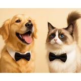 Evcil Hayvan Papyon Yaka, Siyah Beyaz Resmi Kıyafet, Kedi ve Köpek için Ayarlanabilir Papyon, Özel Gün Aksesuarı (Medium)