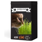 Evde Kolay Yetiştirme – Pomponet Kedi Çimi ile Yıl Boyu Yeşillik!