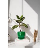 Evdek Tabaklı Çimen U Çömlek Saksı 16X16 cm