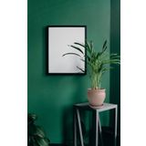 Evdek Tabaklı Klasik Vizon Çömlek Saksı 22x22 Cm