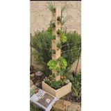 Evdekka Ahşap Dikey Bahçe Sistemi – Balkon Ve Teras İçin 120 Cm Saksı Standı 40 Gözlü