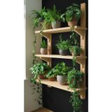 Evdekka Doğal Çam Masif Ahşap 3 Katlı Duvar Rafı - 80X50 Cm Mutfak Banyo Çiçeklik Kitaplık Raf