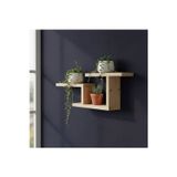 Evdekka Modern Dekoratif Ahşap Duvar Rafı - 48X29 Cm - Çift Taraflı Bantlı Montaj - Saksılık & Kitaplık