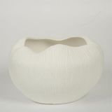 Evdema BEYAZ MEYVELİK 25*28*16 CM AK.JM00005