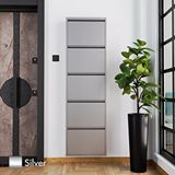 Evdemo 5 Kapaklı Metal Ayakkabılık Silver Gümüş