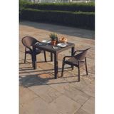 Evdemo Bamboo 2 Kişilik Rattan Masa Sandalye Takımı Kahve