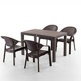 Evdemo Bamboo 4 Kişilik Rattan Masa Sandalye Takımı Kahve Kahverengi