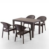 Evdemo Bamboo 4 Kişilik Rattan Masa Sandalye Takımı Kahve
