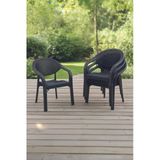Evdemo Bamboo 4'lü Rattan Sandalye Siyah