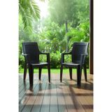 Evdemo Efes 2'li Rattan Sandalye Kahve