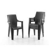 Evdemo Efes 4'lü Rattan Sandalye Siyah