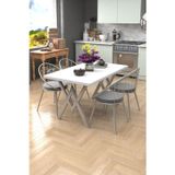 Evdemo Eylül Silver 4 Kişilik Mutfak Masası Takımı Beyaz Gri 120x80x74 cm