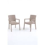 Evdemo King 2'li Rattan Sandalye Cappuccino