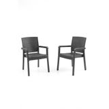 Evdemo King 2'li Rattan Sandalye Siyah
