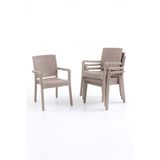 Evdemo King 4'lü Rattan Sandalye Cappuccino