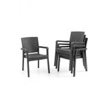 Evdemo King 4'lü Rattan Sandalye Siyah