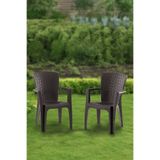 Evdemo Side 2'li Rattan Sandalye Kahve