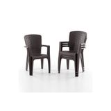 Evdemo Side 4'lü Rattan Sandalye Kahve