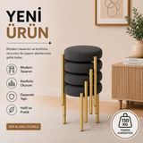 Evdera Mobilya Cemre 4lü Puf Tabure Bench Makyaj Sandalyesi Gold Ayak - Antrasit