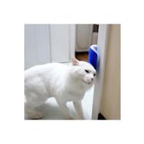EveFix Cat It Pratik Kedi Tüyü Kaşıma Ve Tarama Aparatı Duvara Monte