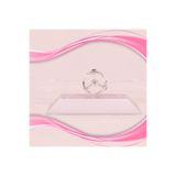EveFix Dekoratif Masa Üstü Obje Manyetik Kinetik Orbital Dönen Yunuslar, 10 x 10 cm