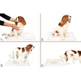EveFix Yıkanabilir Köpek Çiş Pedi - 100 X 70 Cm 5Li Paket
