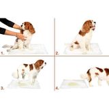 EveFix Yıkanabilir Köpek Çiş Pedi - 100 X 70 Cm