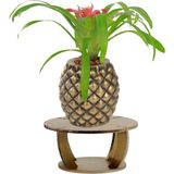 Evene Ahşap Ayaklı Beton Saksı Büyük Boy 1 Adet Ananas Model - Gold