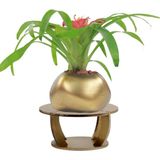 Evene Ahşap Ayaklı Beton Saksı Büyük Boy 1 Adet Spiral Oval Model - Gold