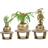 Evene Ahşap Ayaklı Beton Saksı Büyük Boy Set 3 Adet Spiral Oval Model - Gold