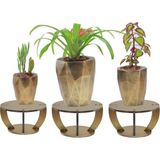 Evene Ahşap Ayaklı Beton Saksı Büyük Boy Set 3 Adet Uzun Poly Model - Gold