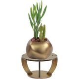 Evene Ahşap Ayaklı Beton Saksı Dekoratif 1 Adet Spiral Oval Model - Gold