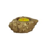 Evene Altın Mumluk Şamdan Tealight Mum Uyumlu Deniz Kabuğu Model 8682874833452