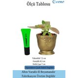 Evene Kaktüs Saksısı Dekoratif Saksı Model 6 - Siyah - Altın