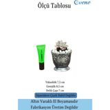 Evene Kaktüs Saksısı Dekoratif Saksı Model 6 - Siyah - Gri