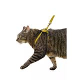 Evene Kedi Tasması Kedi Göğüs Bel Ayarlanabilir Dayanıklı Sağlam Tasma 1 Cm İnce Kolon Sarı