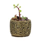 Evene Mini Çiçek Saksı Küçük Sukulent Altın Eskitme Kaktüs Saksısı Model 2, ealtigendesensaksi