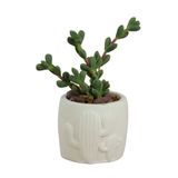 Evene Mini Çiçek Saksı Küçük Sukulent Altın Kaktüs Saksısı Kaktüs Desenli Saksı Model ekaktusdesensaksi