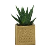 Evene Mini Çiçek Saksı Küçük Sukulent Altın Kaktüs Saksısı Mini Kare Desenli Model, ekaredesenlisaksiby
