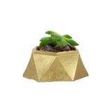 Evene Mini Çiçek Saksı Küçük Sukulent Altın Kaktüs Saksısı Mini Poly 2 Model, eminipoly2saksi