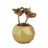 Evene Mini Çiçek Saksı Küçük Sukulent Altın Kaktüs Saksısı Mini Poly Silindir Model, epolysilindirminisaksiby