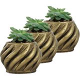 Evene Mini Çiçek Saksı Küçük Sukulent Eskitme Kaktüs Saksısı 3'lü Set Kalın Çizgili Spiral Model - Gold