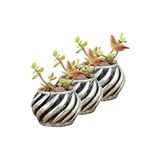 Evene Mini Çiçek Saksı Küçük Sukulent Eskitme Kaktüs Saksısı 3'lü Set Kalın Çizgili Spiral Model - Gümüş