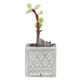 Evene Mini Çiçek Saksı Küçük Sukulent Gümüş Kaktüs Saksısı Mini Kare Desenli Model, ekaredesenlisaksiby